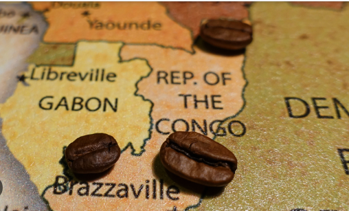 Congo drip coffee bag packaging machine