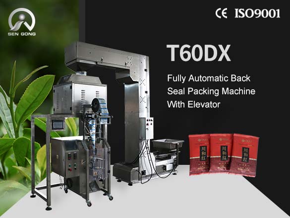 T60DX Fully Automatic Back Seal Packing Machine With Elevat